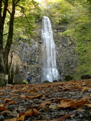 玉簾の滝2010