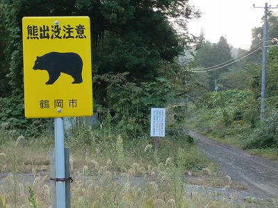 熊出没注意